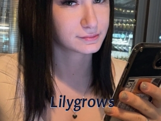 lilygrows Site Cul