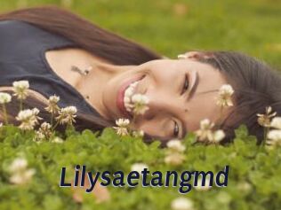 Lilysaetangmd