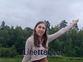 Linettebeer