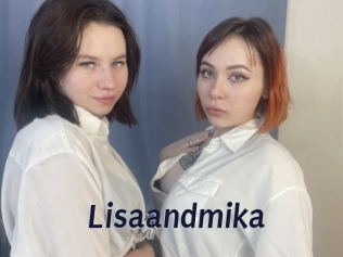 Lisaandmika