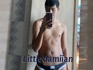 Littledamiian