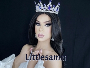 Littlesamm