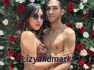 Lizyandmarks