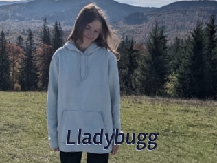 Lladybugg