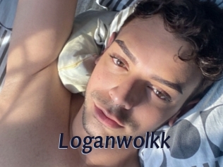 loganwolkk Site Cul