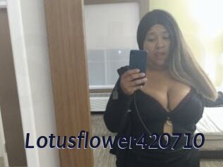 Lotusflower420710