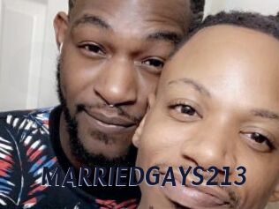 MARRIEDGAYS213