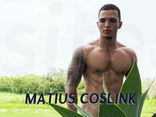 MATIUS_COSLINK