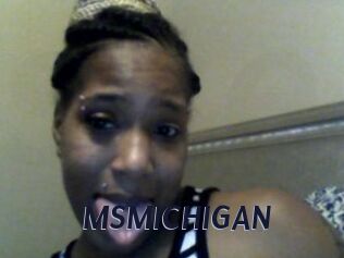 MSMICHIGAN