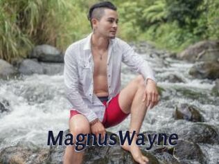 MagnusWayne