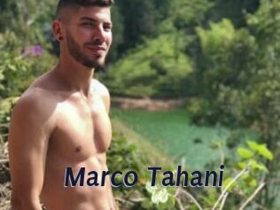 Marco_Tahani