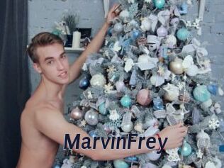 MarvinFrey