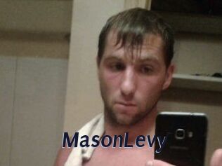 Mason_Levy