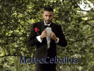 MateoCeballos