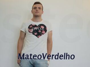 MateoVerdelho