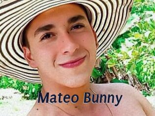 Mateo_Bunny