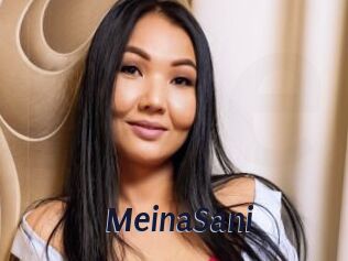MeinaSani