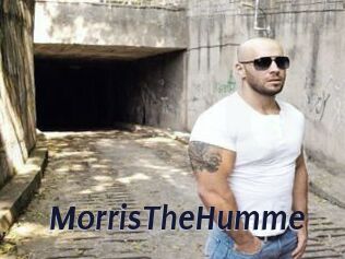 MorrisTheHumme Site Cul