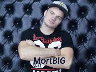 MortBIG