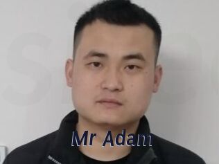 Mr_Adam