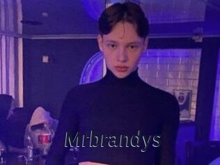 Mrbrandys