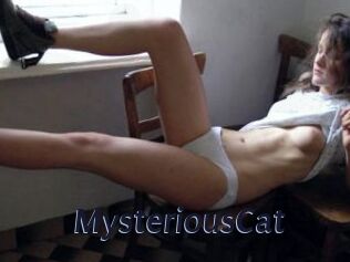 MysteriousCat