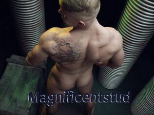 Magnificentstud