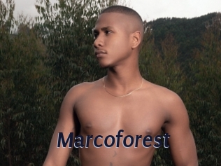 Marcoforest