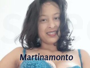 Martinamonto