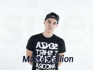 Mattestallion