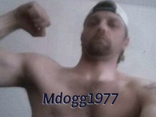 Mdogg1977