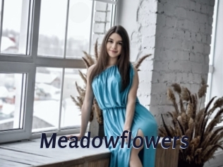 Meadowflowers