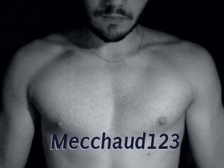 Mecchaud123