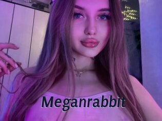 Meganrabbit