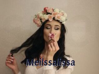 Meilssalissa