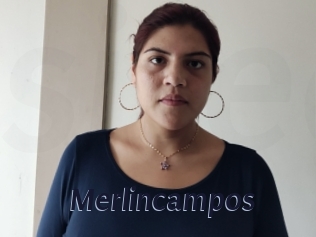 Merlincampos
