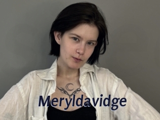 Meryldavidge