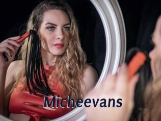 Micheevans