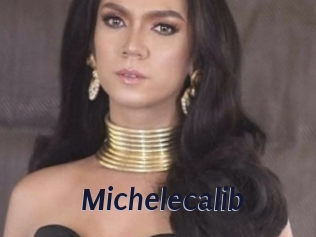 Michelecalib