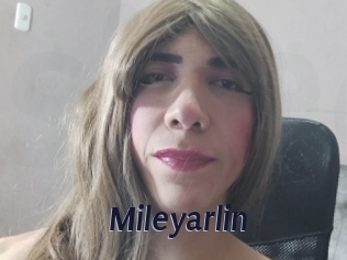 mileyarlin Site Cul