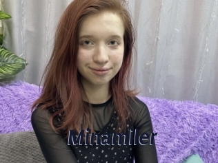 Minamiler