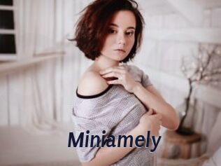 Miniamely