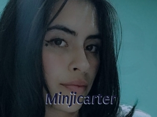 Minjicarter