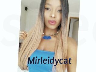 Mirleidycat