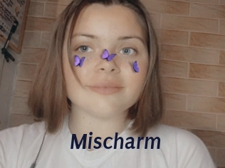 Mischarm