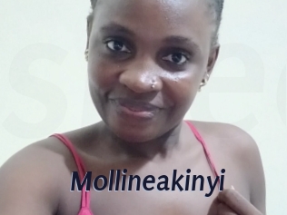 Mollineakinyi