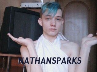 NATHAN_SPARKS