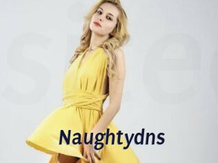 Naughtydns
