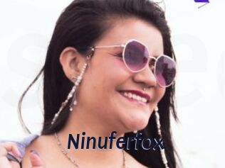 Ninuferfox