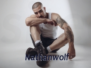 nathanwolf Site Cul